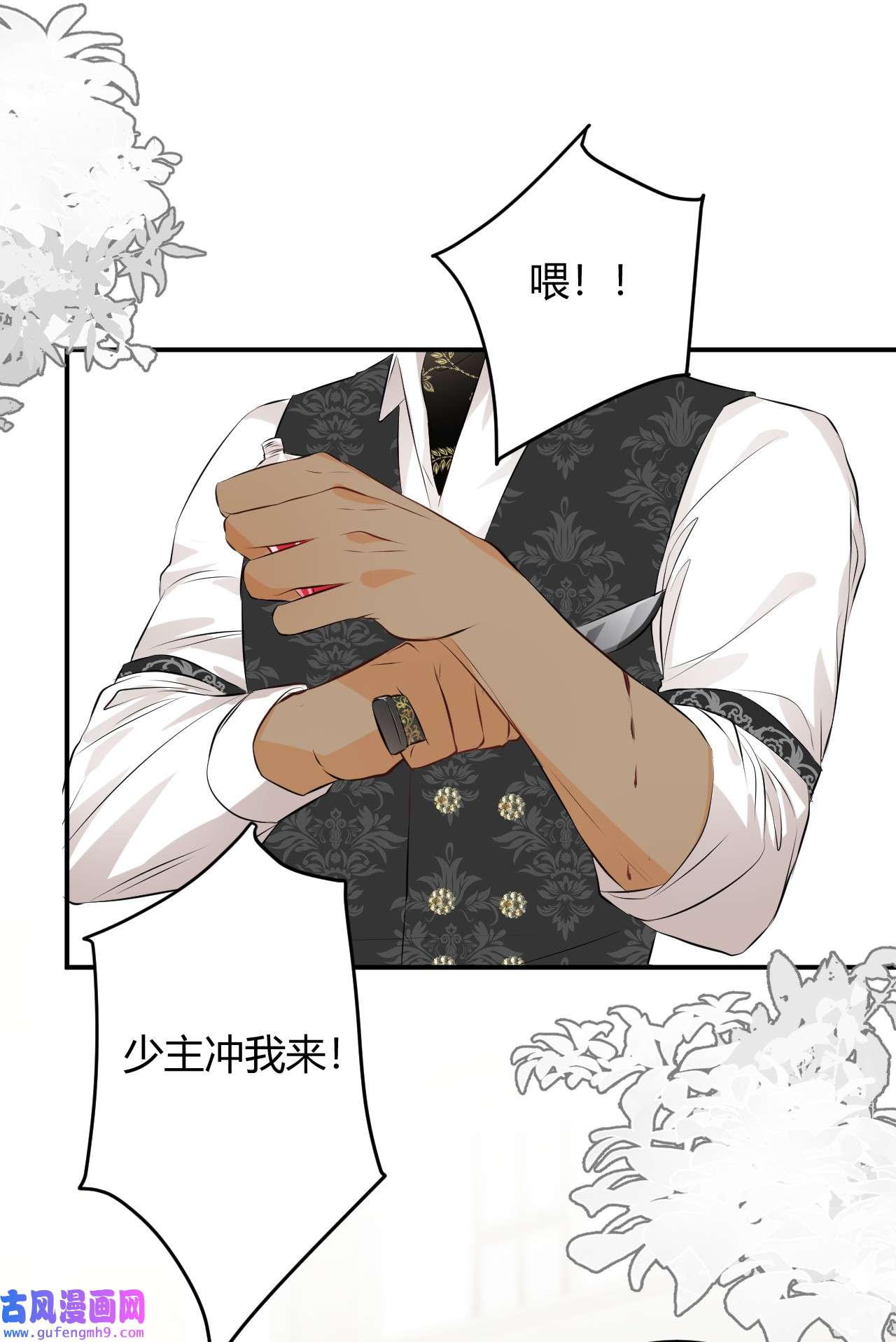 饲龙手册14 克拉克家的长生石