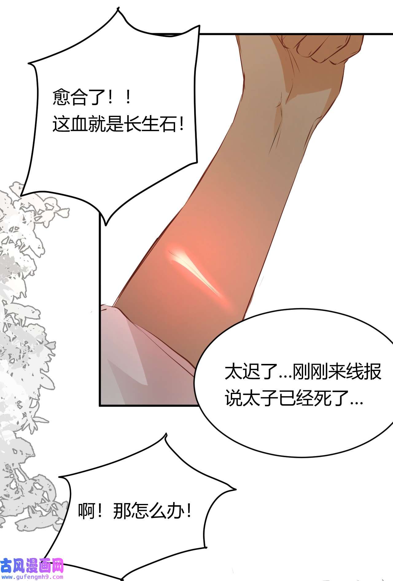 饲龙手册14 克拉克家的长生石