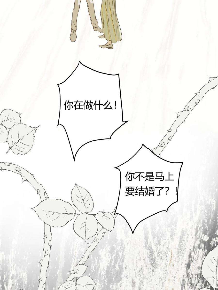 饲龙手册05欺君之罪