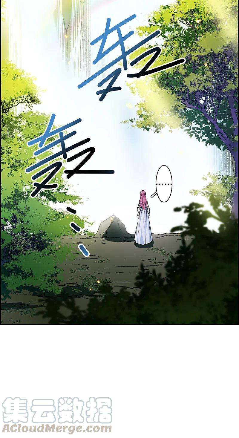 上国赋之千堆雪243话 崖底4