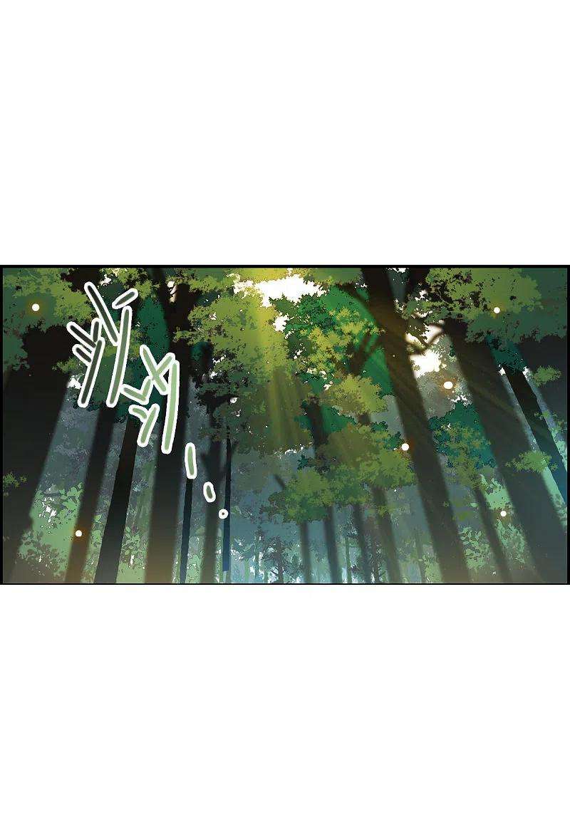 上国赋之千堆雪243话 崖底4