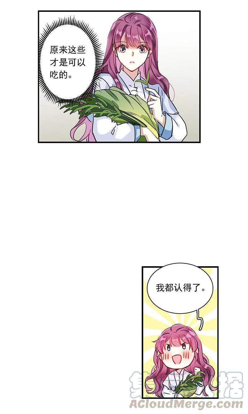 上国赋之千堆雪244话 心声1