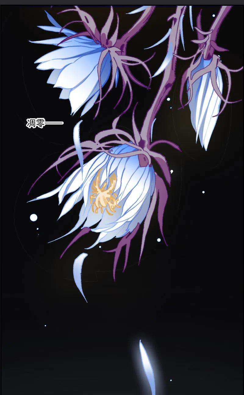 上国赋之千堆雪275话 久别重逢3