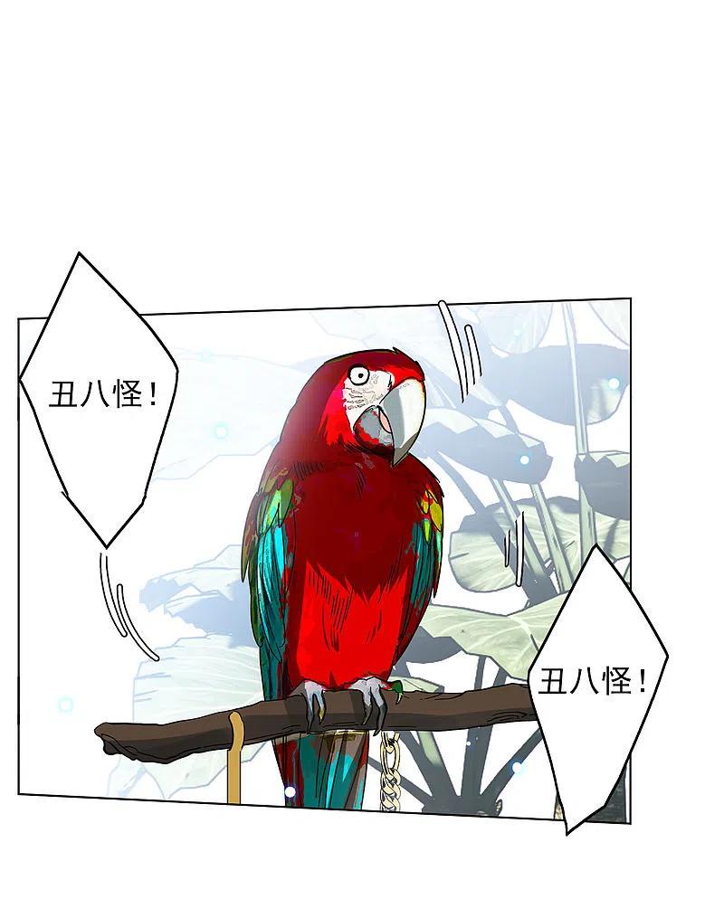 她来了，请趴下147话 不速之客1