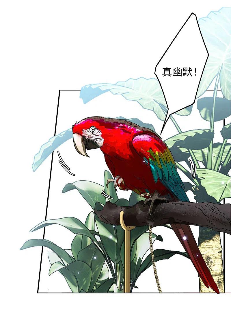 她来了，请趴下147话 不速之客1