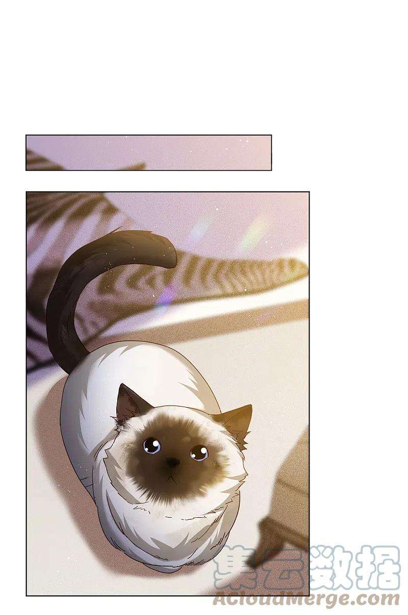 她来了，请趴下207话 女主角3