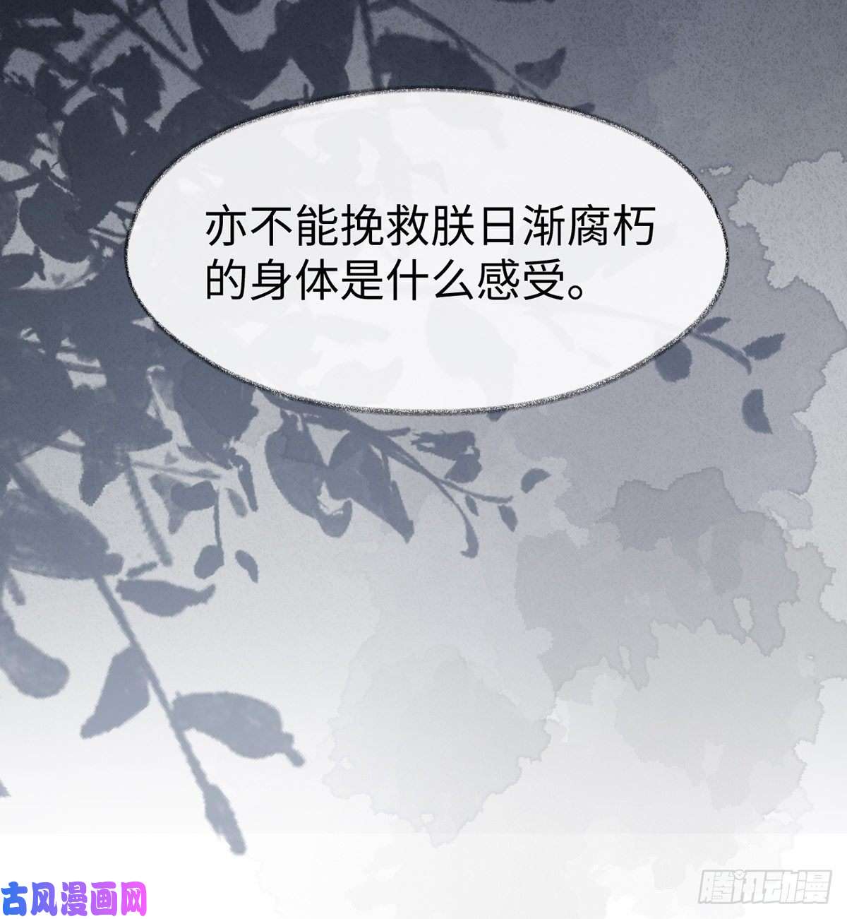 太后裙下臣生而尊贵？