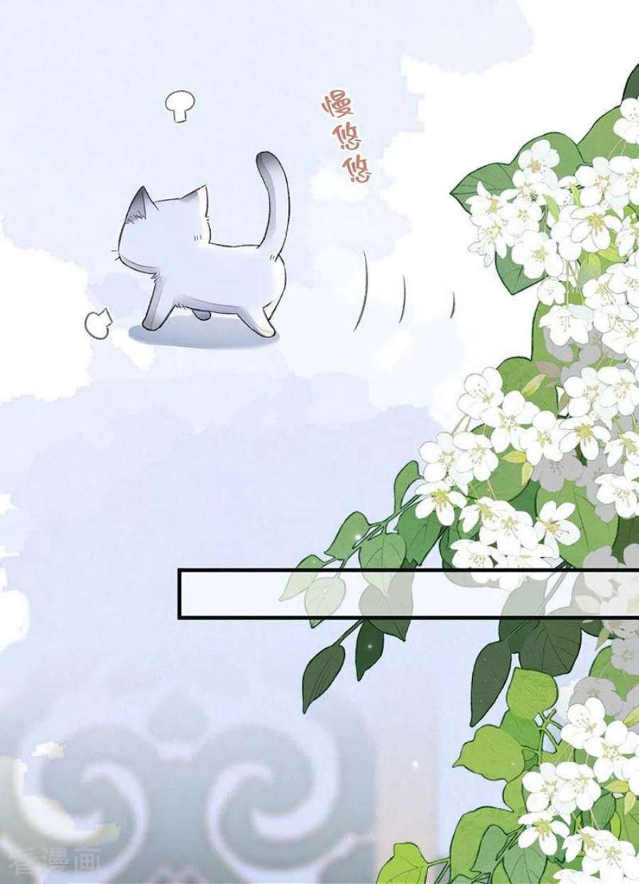 太后裙下臣179话 猫咪踩奶