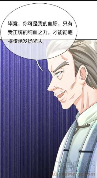 仙尊奶爸当赘婿315话 传承之力 即将重现