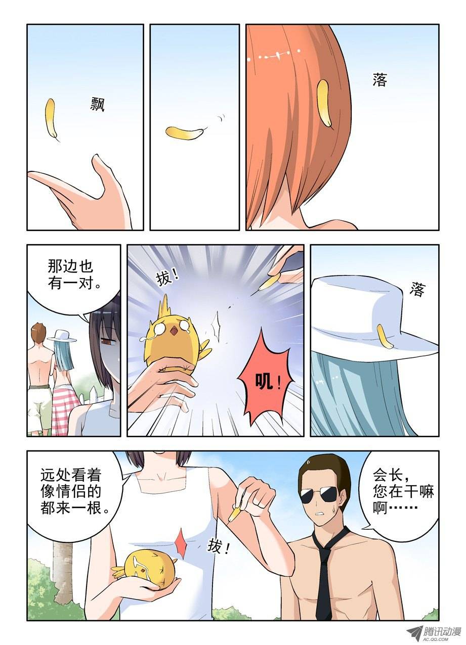 王牌御史58,小鸡中的战斗机