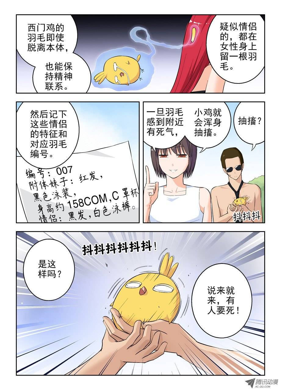 王牌御史58,小鸡中的战斗机