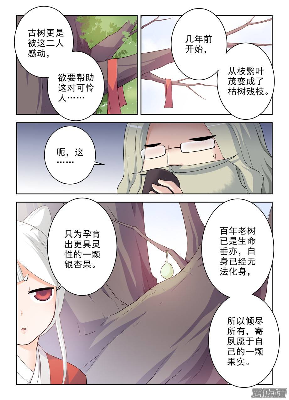 王牌御史285，银杏果