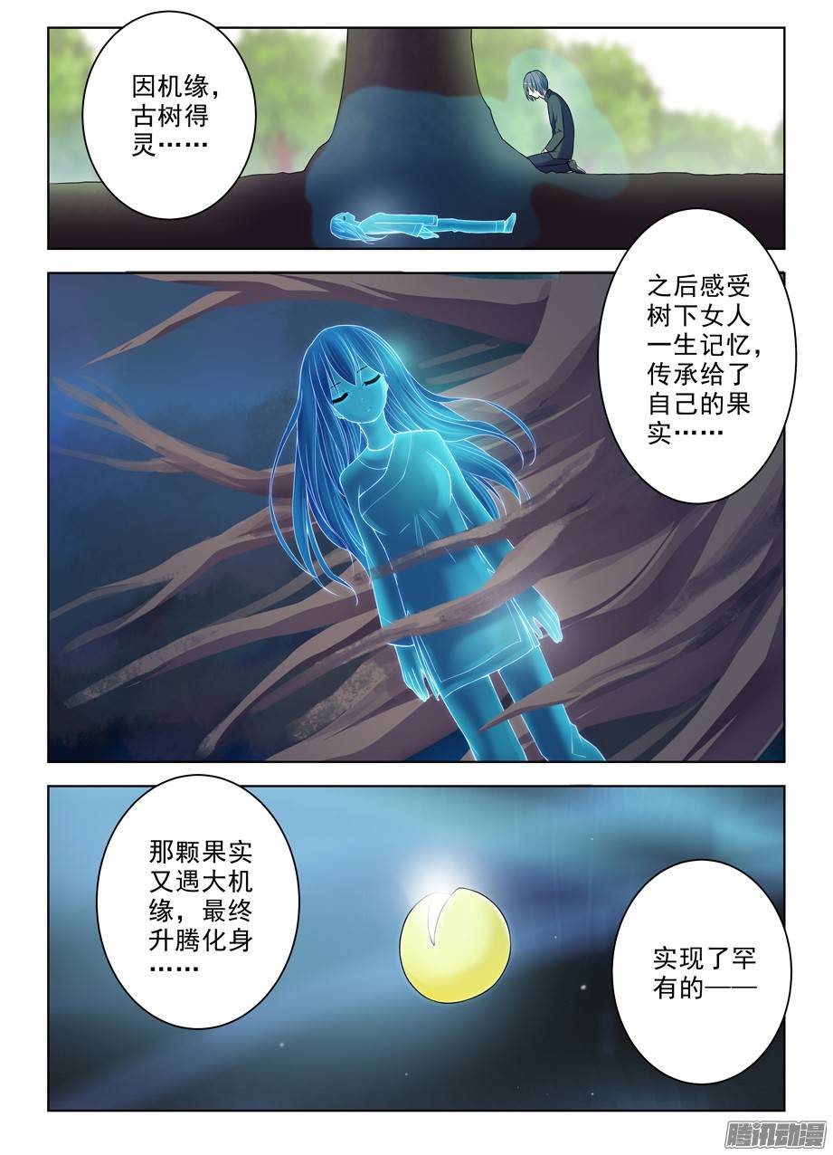 王牌御史285，银杏果