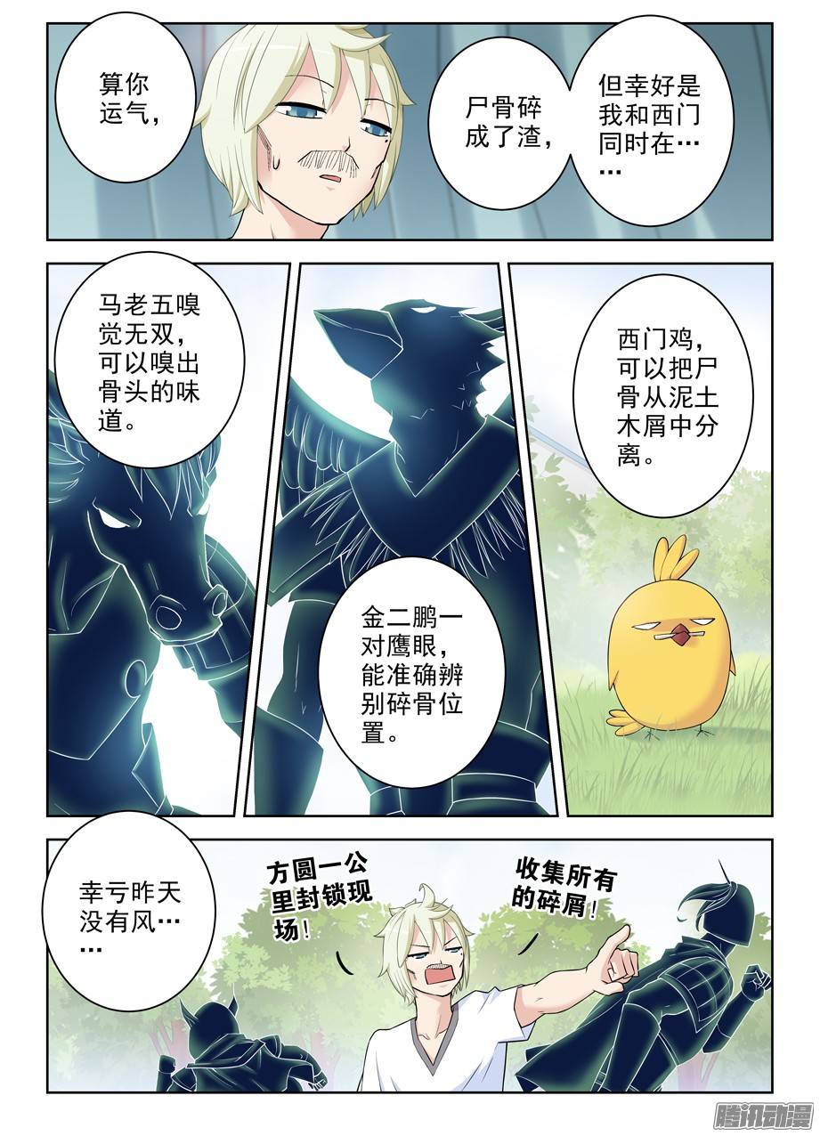 王牌御史285，银杏果