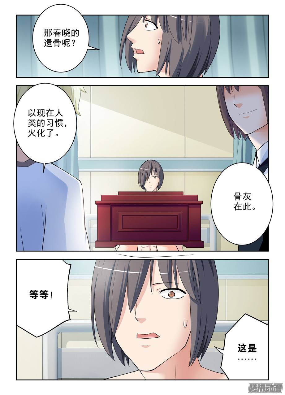 王牌御史285，银杏果