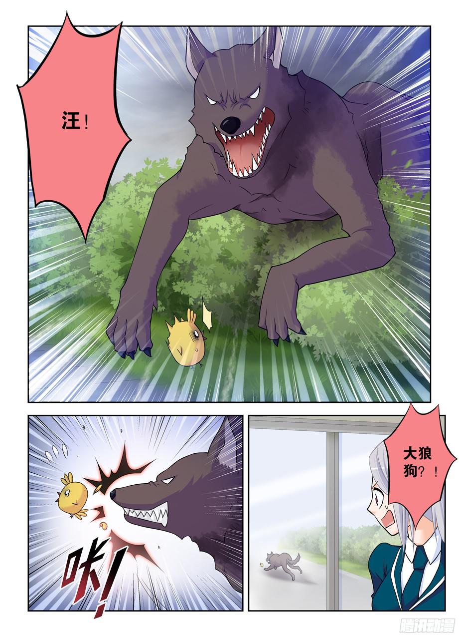 王牌御史378，原来你是这样的鸡鸡