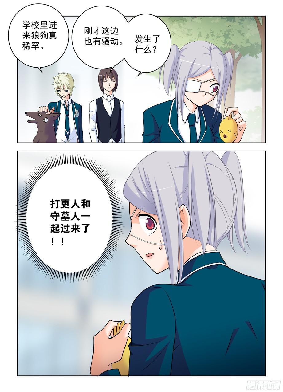 王牌御史378，原来你是这样的鸡鸡