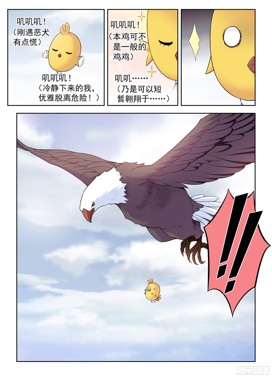 王牌御史378，原来你是这样的鸡鸡