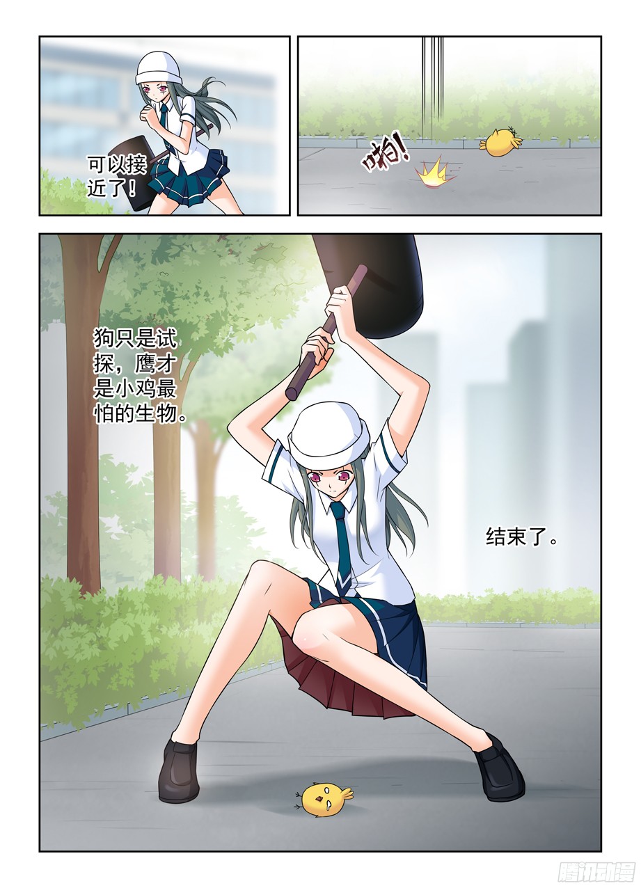 王牌御史378，原来你是这样的鸡鸡