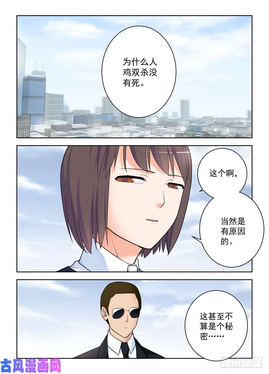 王牌御史416,因为它是西门鸡