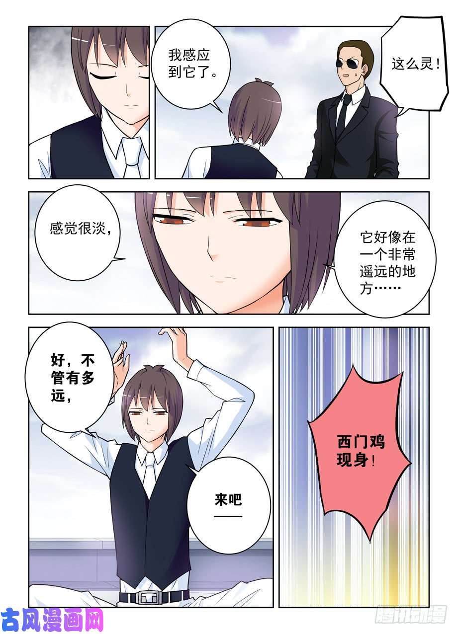 王牌御史416,因为它是西门鸡