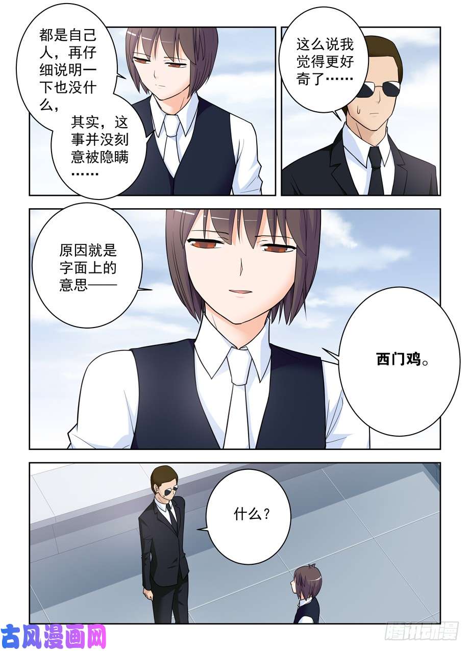 王牌御史416,因为它是西门鸡