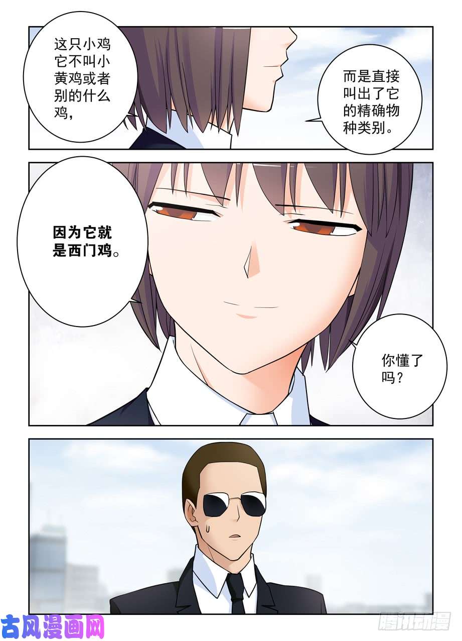 王牌御史416,因为它是西门鸡