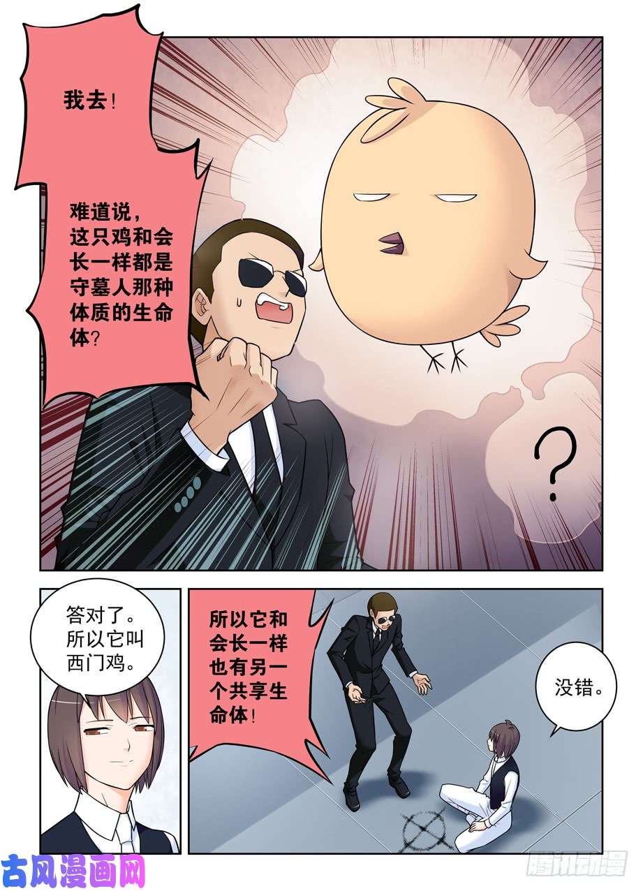 王牌御史416,因为它是西门鸡