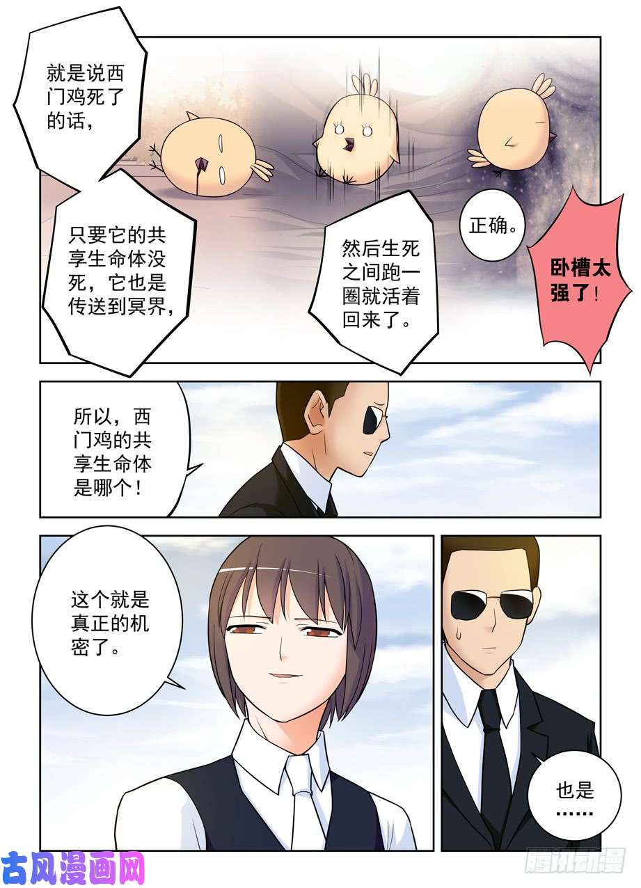王牌御史416,因为它是西门鸡