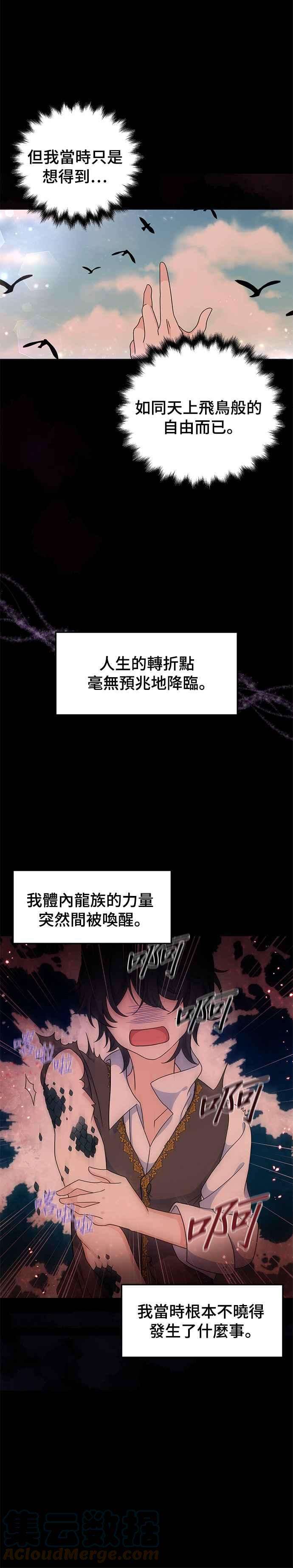 穿越的女骑士24话