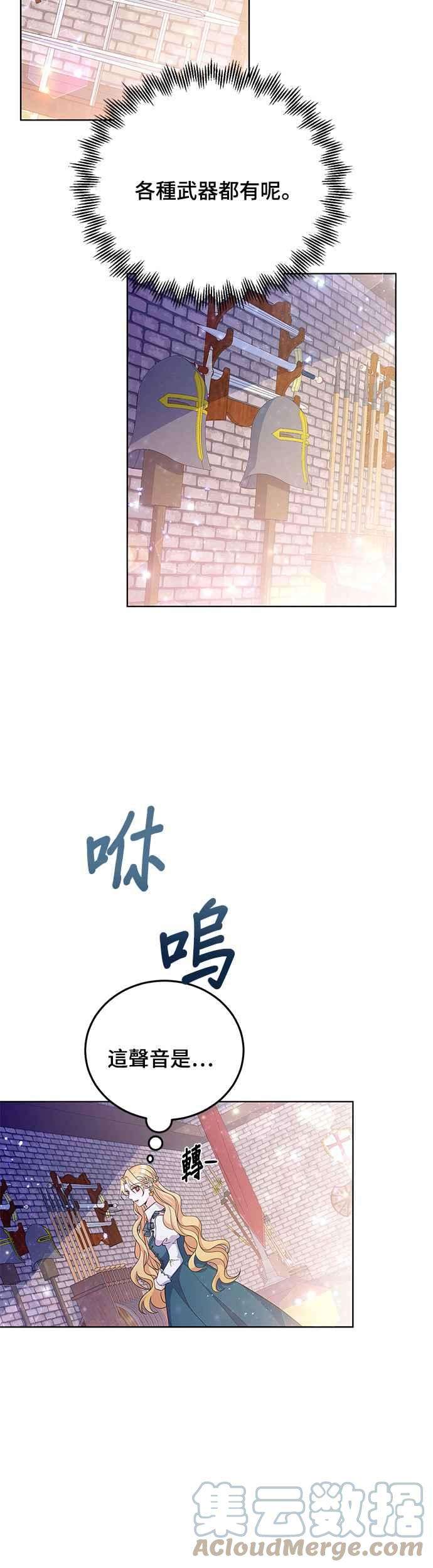 穿越的女骑士30话
