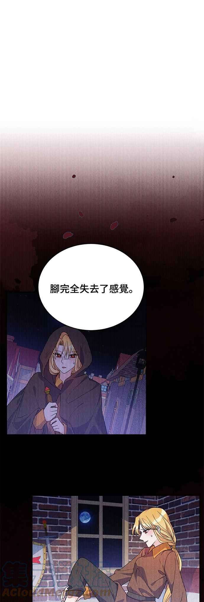穿越的女骑士36话