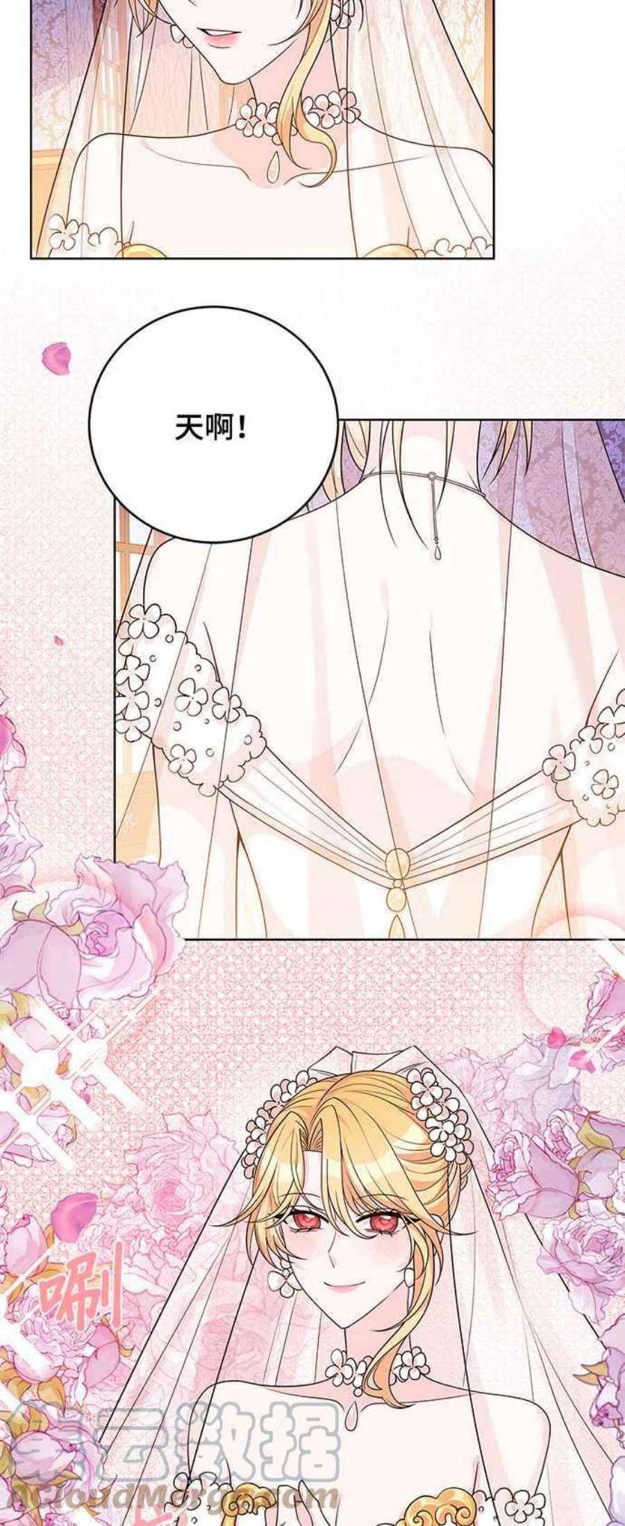 穿越的女骑士39话