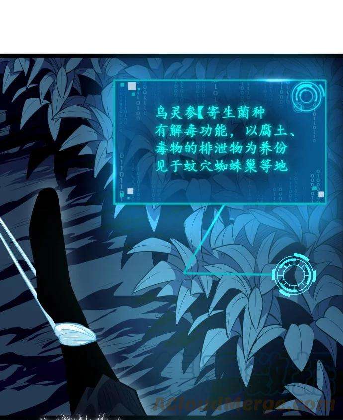 我靠强迫症上王者016 毒性拉满