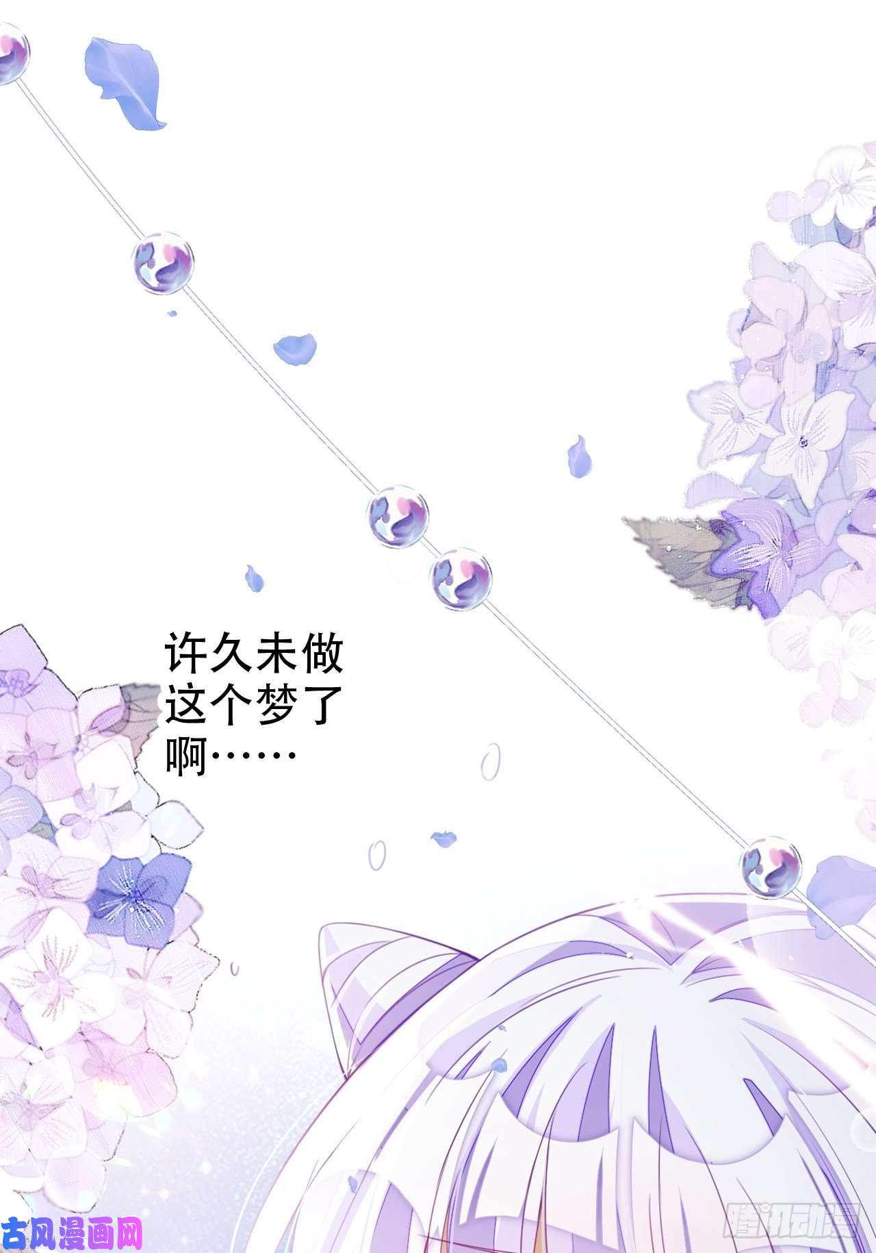 海王奶奶三千宠弦音断·肆