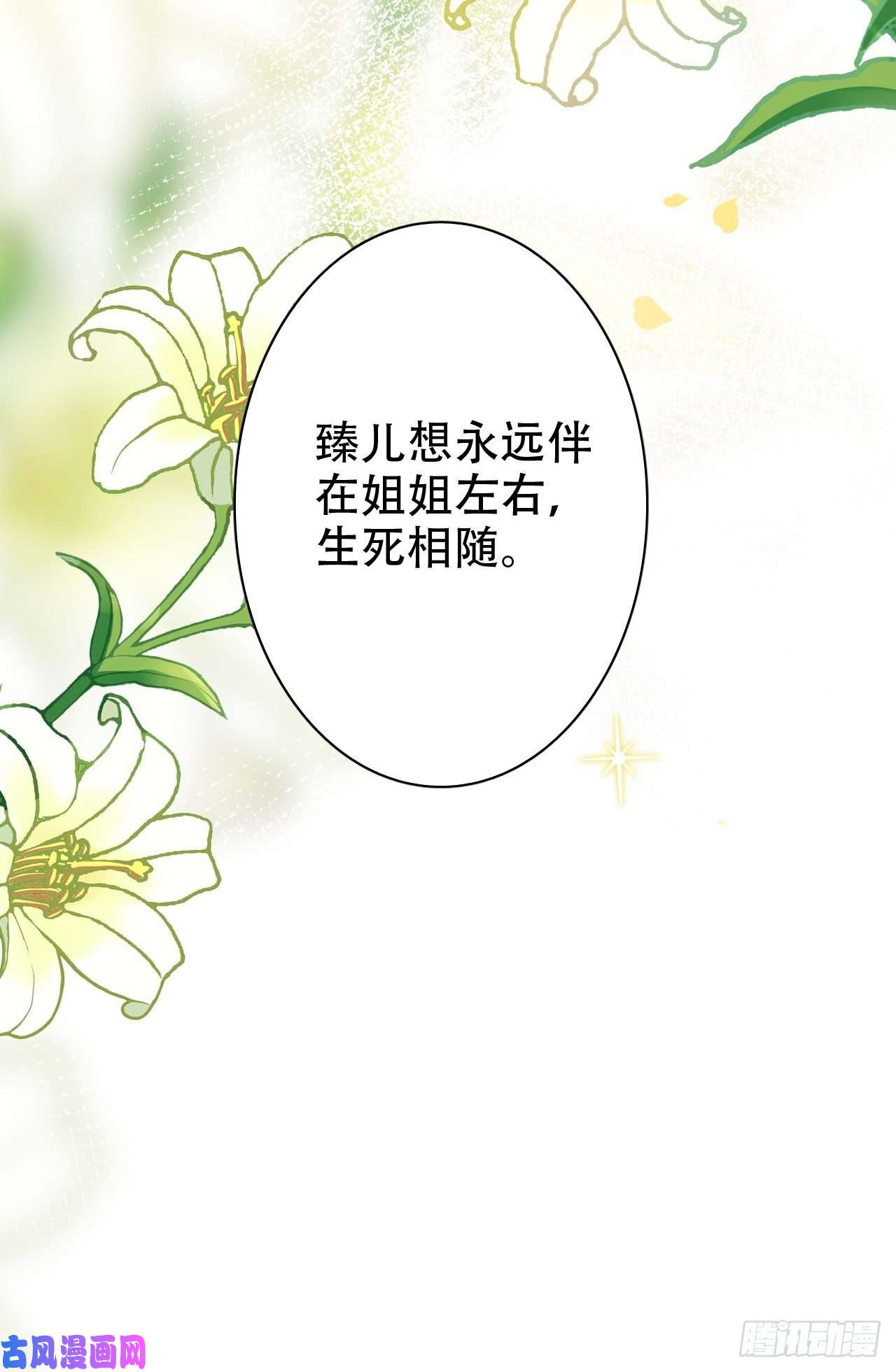 海王奶奶三千宠人生如梦，往事如痕