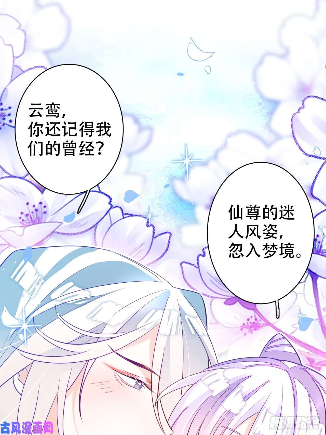 海王奶奶三千宠人生如梦，往事如痕