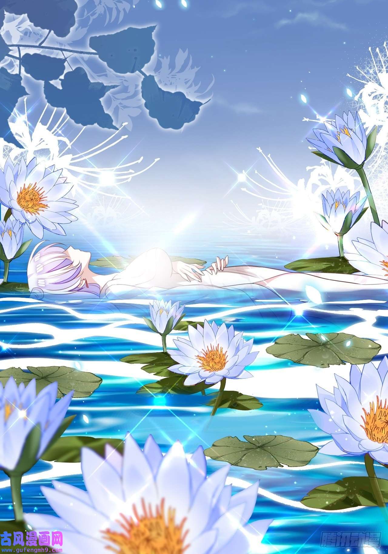 海王奶奶三千宠鸾凤宗的百合花都开好了