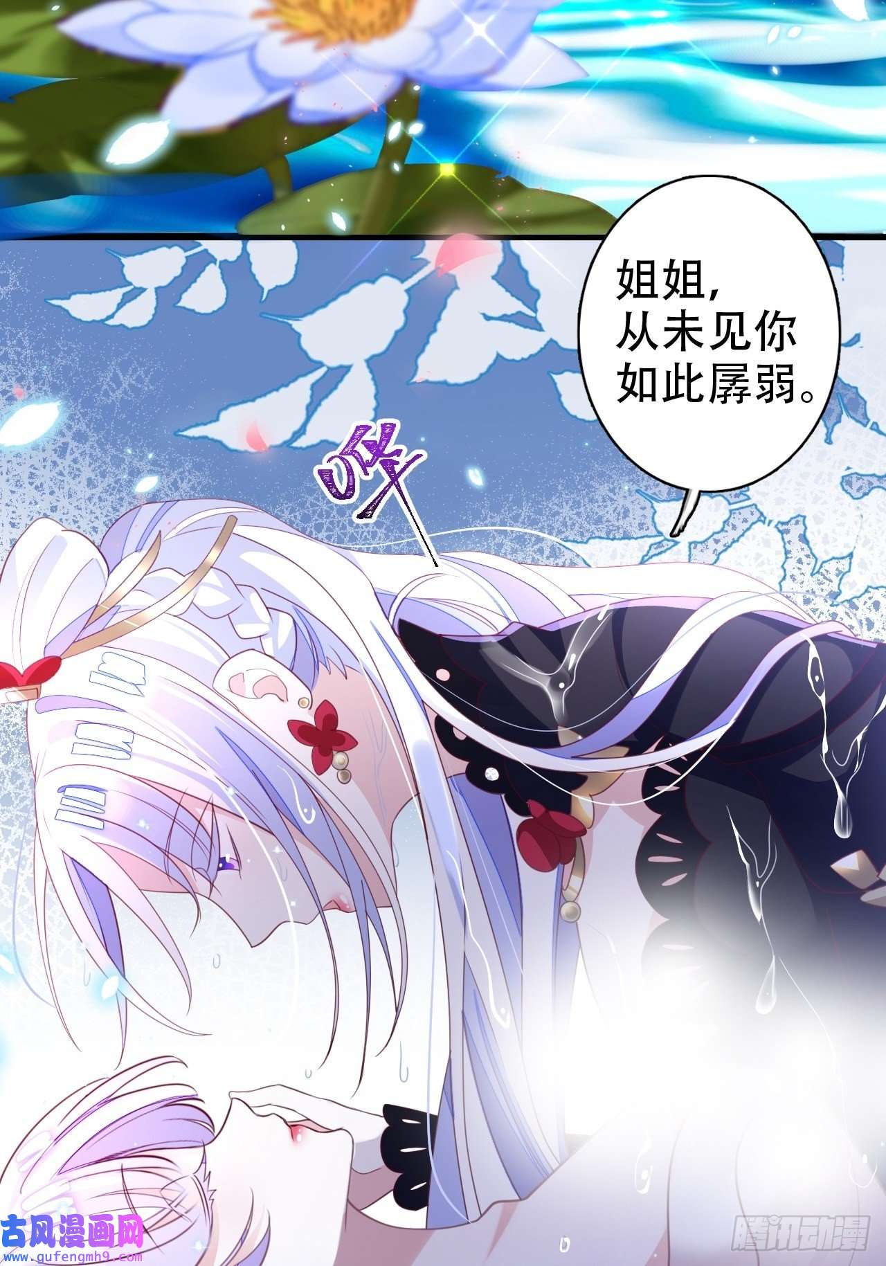 海王奶奶三千宠鸾凤宗的百合花都开好了