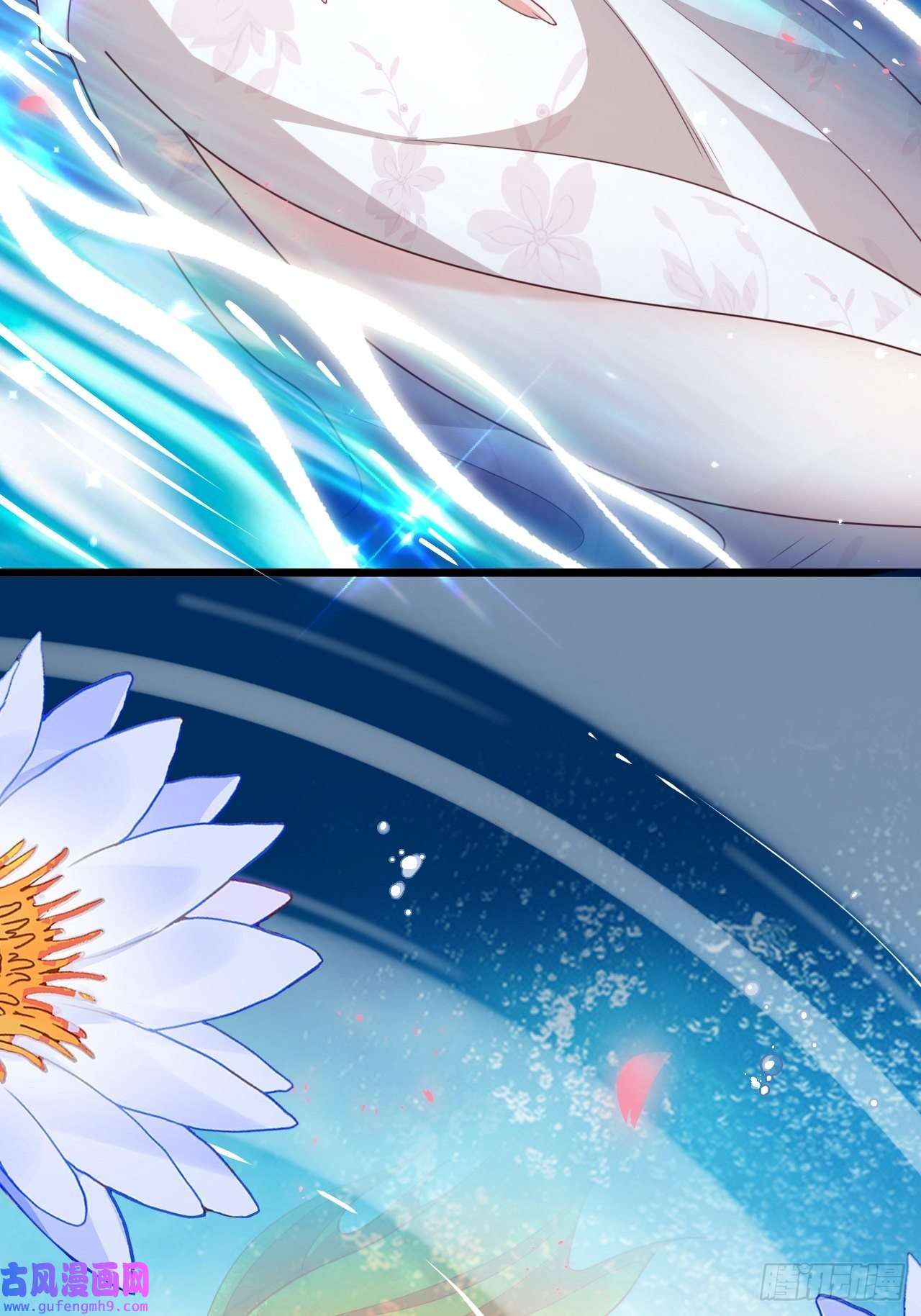 海王奶奶三千宠鸾凤宗的百合花都开好了