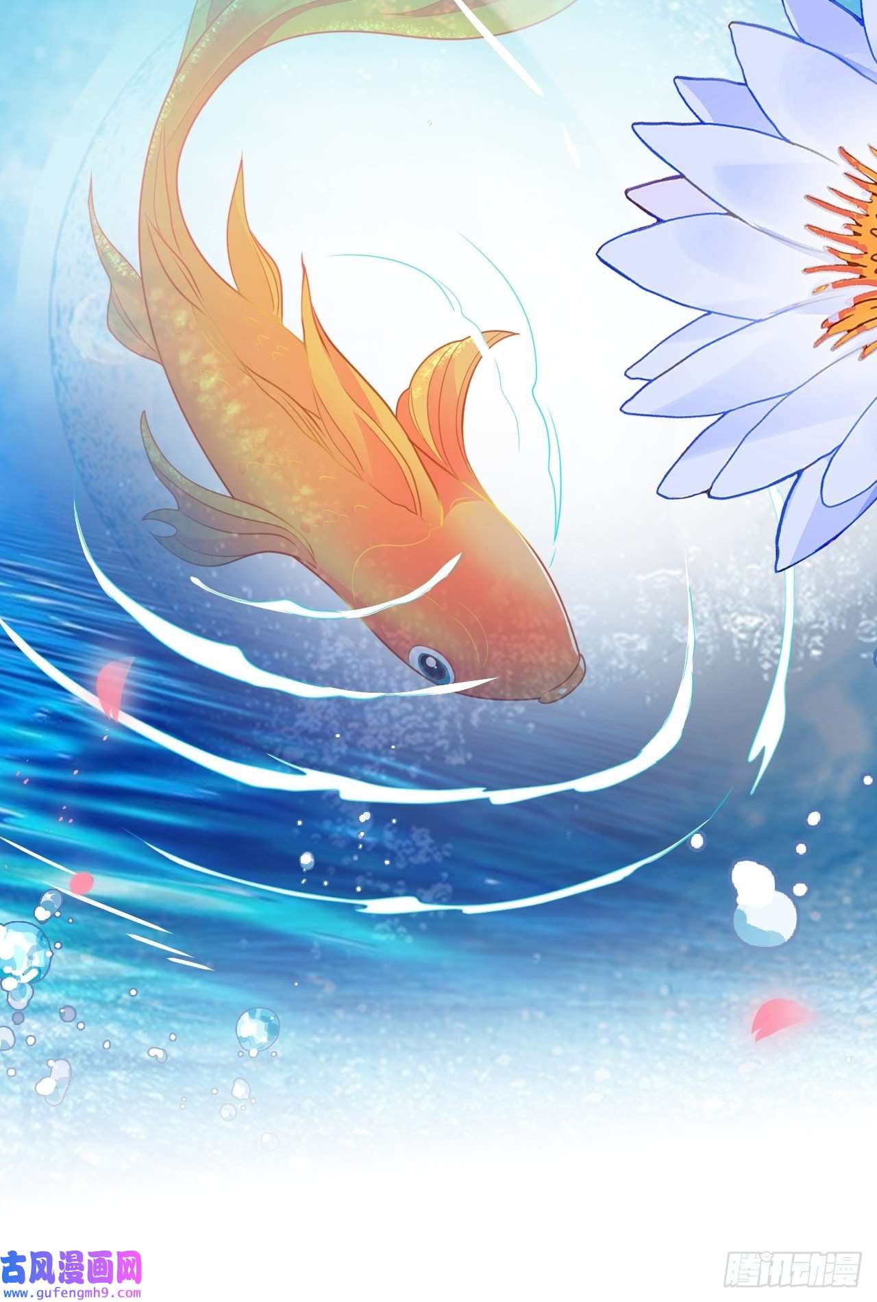 海王奶奶三千宠鸾凤宗的百合花都开好了