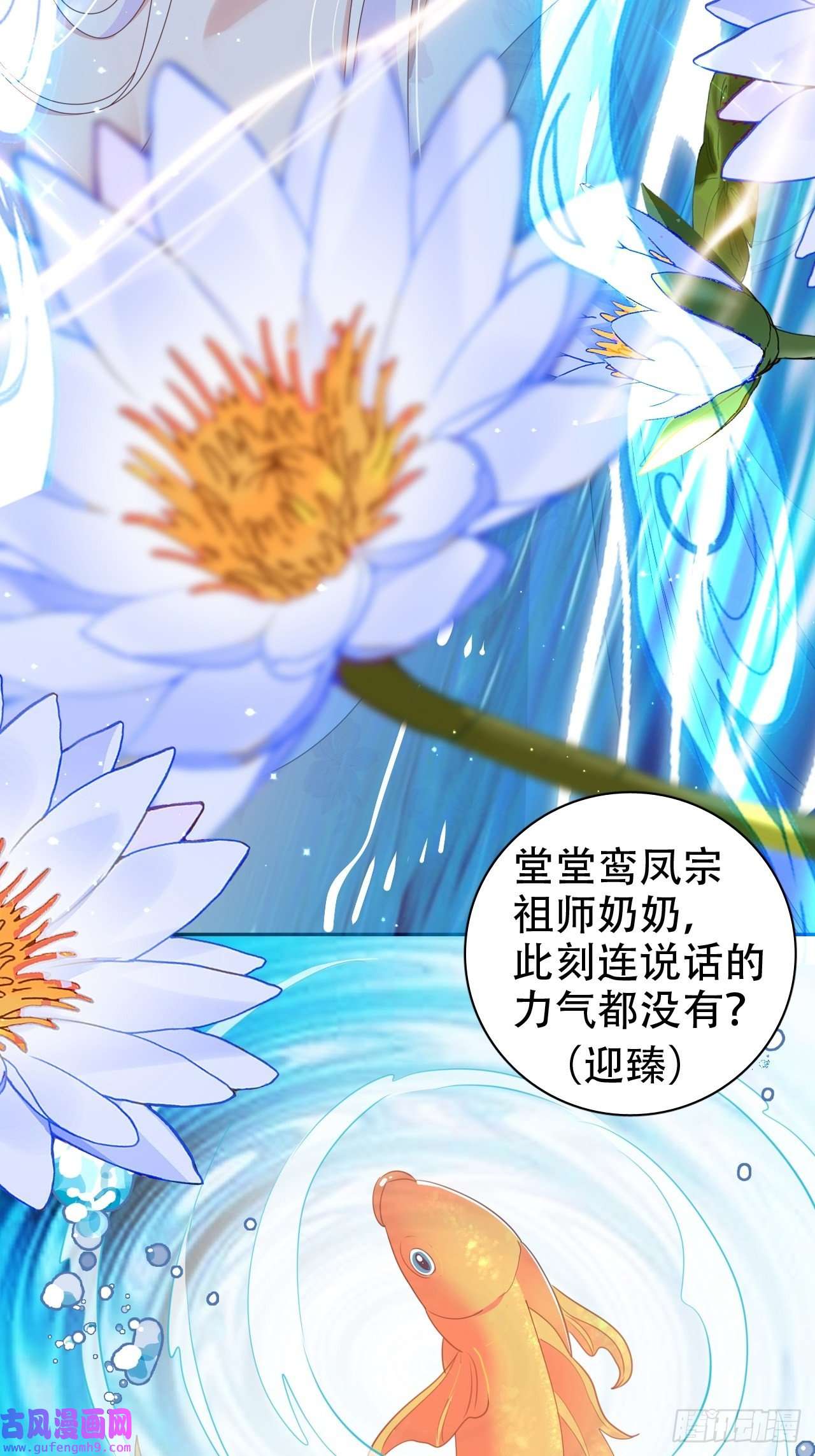 海王奶奶三千宠鸾凤宗的百合花都开好了