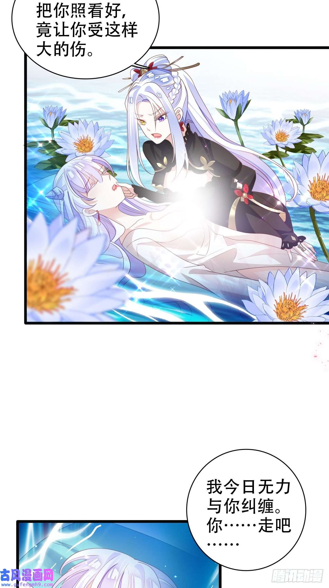 海王奶奶三千宠鸾凤宗的百合花都开好了