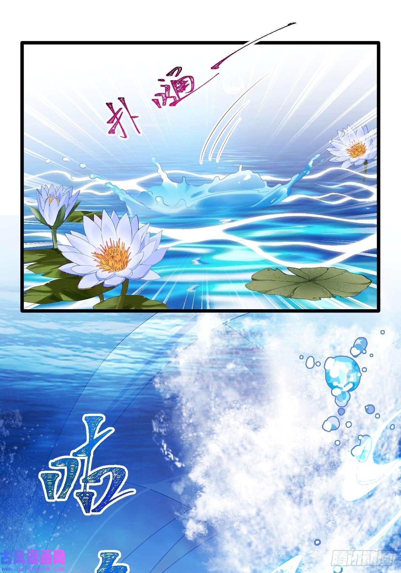 海王奶奶三千宠鸾凤宗的百合花都开好了