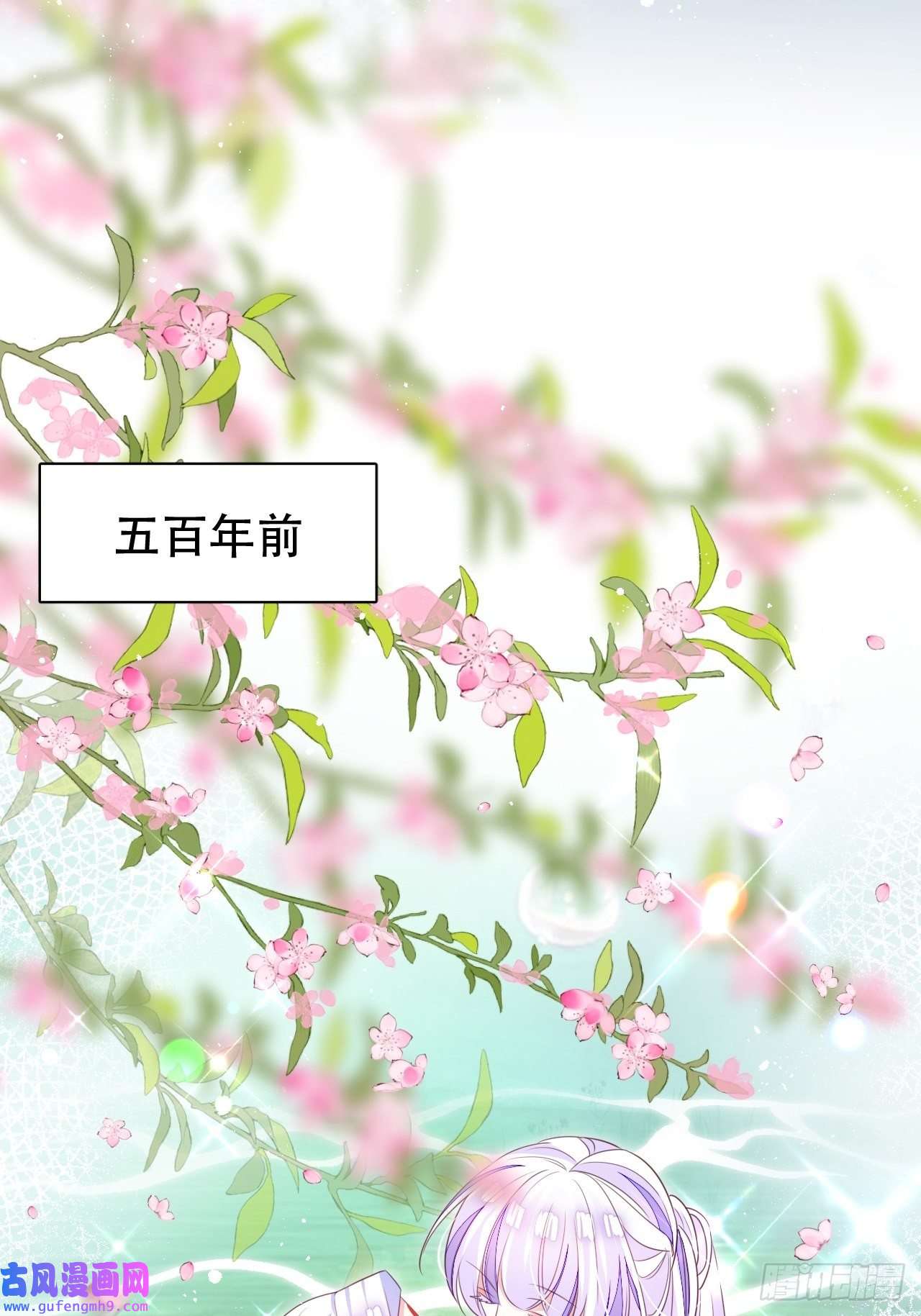 海王奶奶三千宠鸾凤宗的百合花都开好了