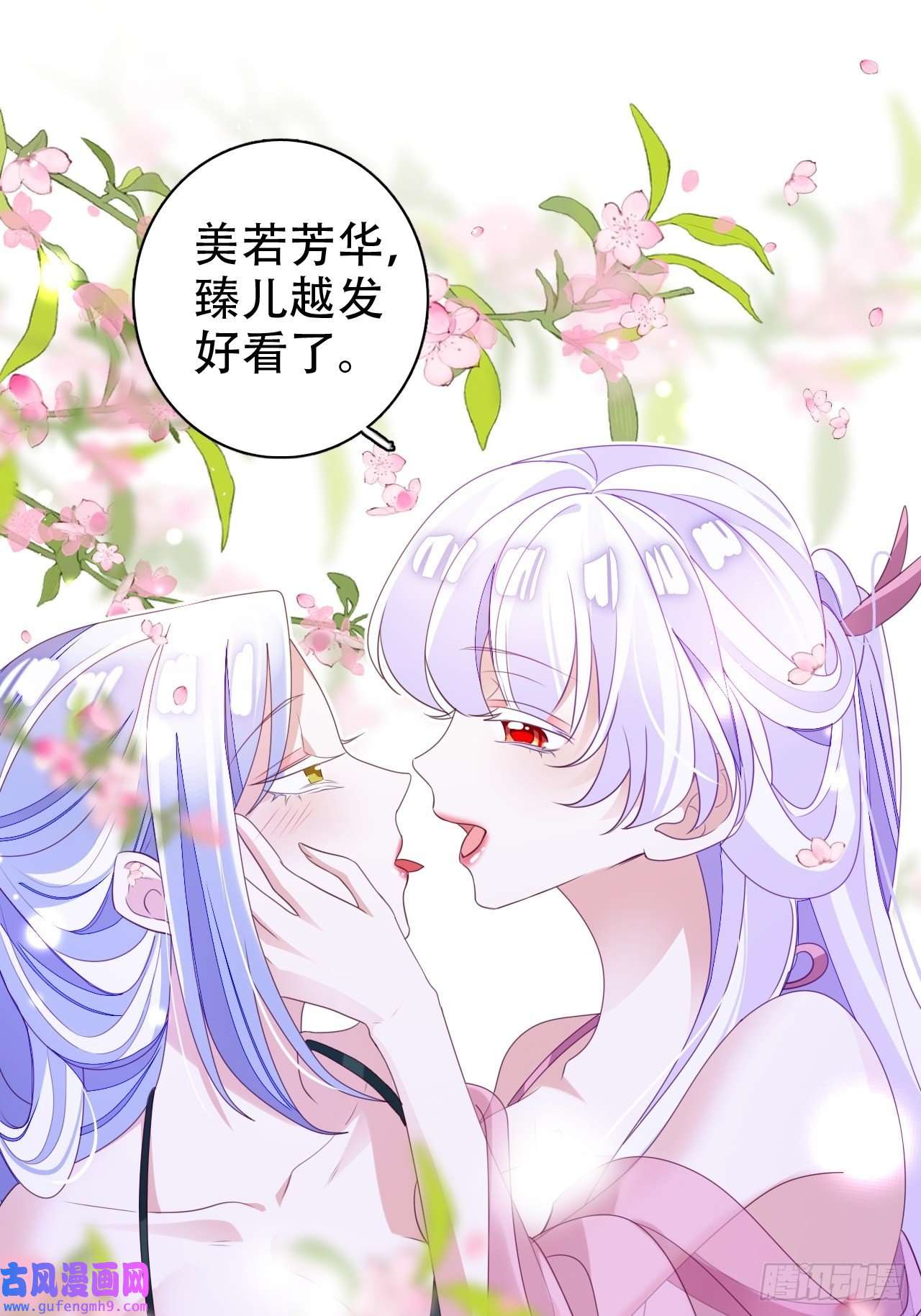 海王奶奶三千宠鸾凤宗的百合花都开好了