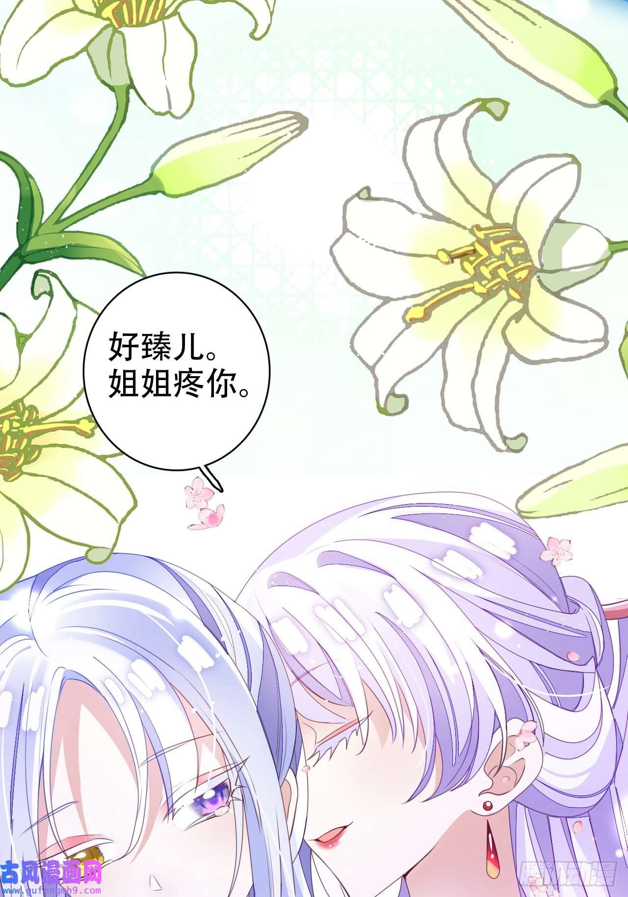 海王奶奶三千宠鸾凤宗的百合花都开好了