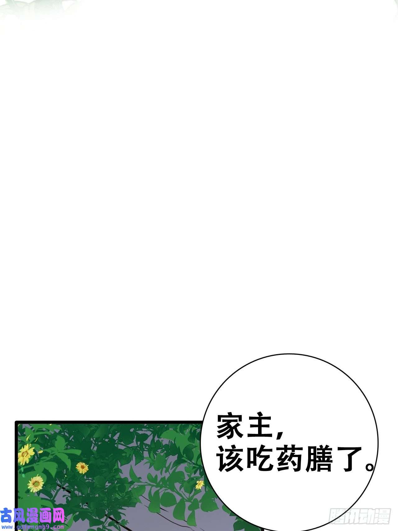 海王奶奶三千宠鸾凤宗的百合花都开好了