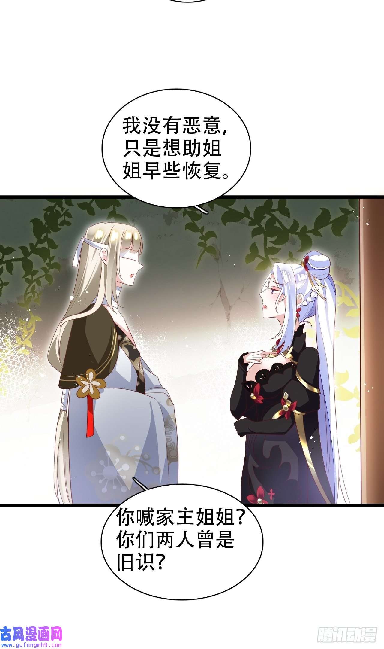 海王奶奶三千宠鸾凤宗的百合花都开好了