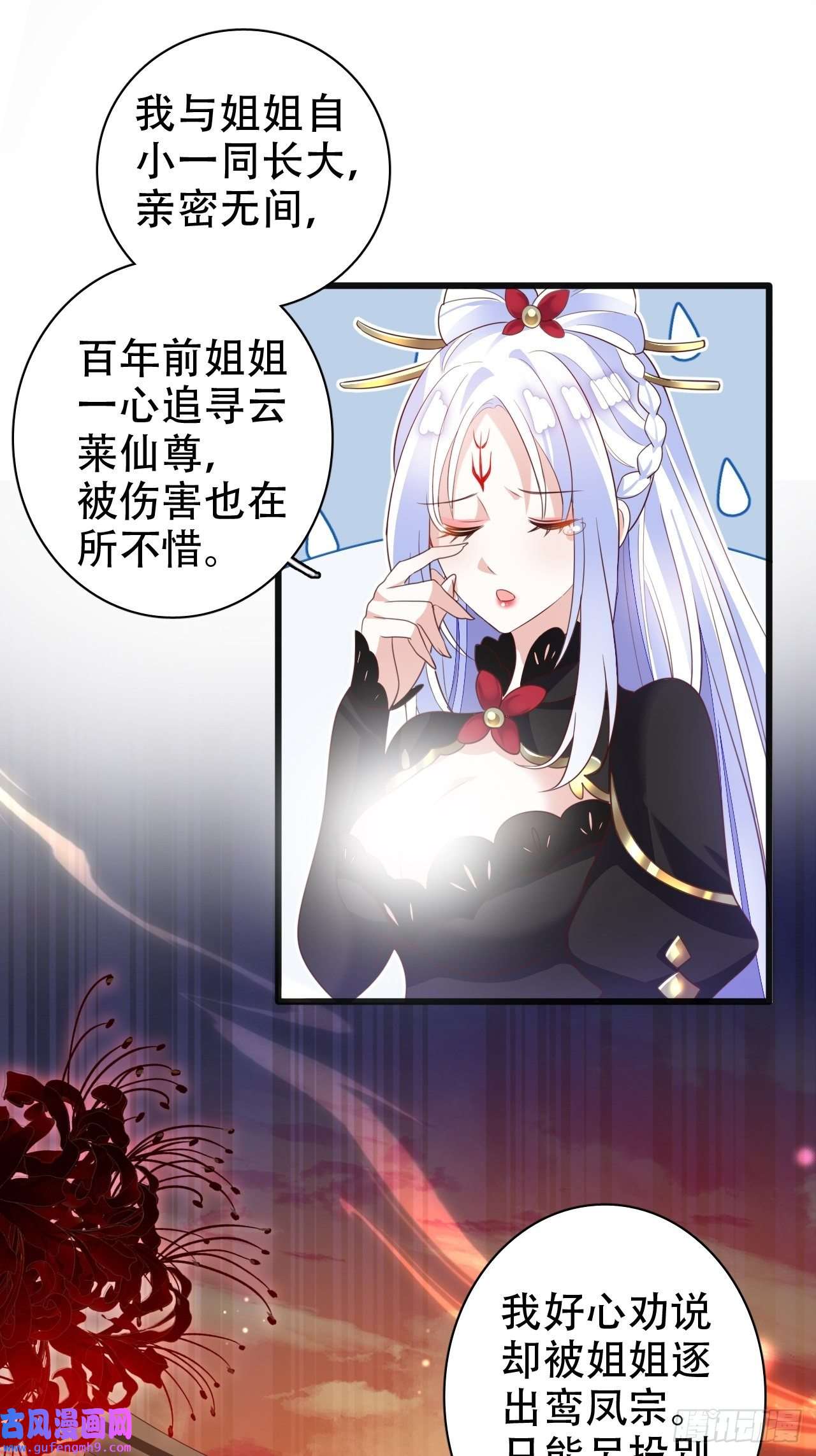海王奶奶三千宠鸾凤宗的百合花都开好了
